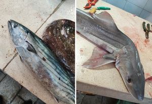 Tko je A.P.? Nekoliko je sumnjivaca...