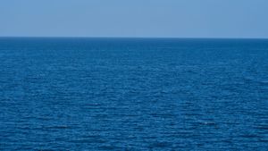 Hrvatske znanstvenice potvrdile uspješnu prilagodbu fitoplanktonskih vrsta na klimatske promjene u Sjevernom Jadranu