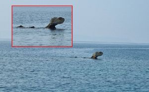 FOTO Što je to izronilo kod Visa?