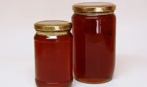 Goranski medun postao 39. hrvatski proizvod zaštićenog naziva u Europskoj uniji