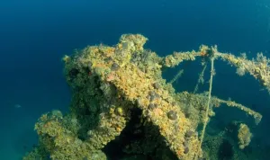 Olupina 'TOTONNO' potonuo je kod Grebena prije točno 80 godina, danas je atrakcija brojnim roniocima