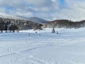 Nasilnik s Platka izbačen iz borilačkog kluba