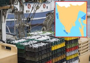 Objavljene karte i poziv iskaza interesa za obavljanje ribolova srdelarom u kanalskim područjima