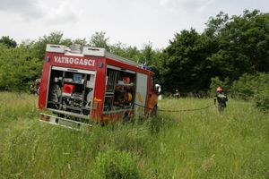 U požaru kod Poreča izgorjele domaće životinje