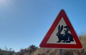 FOTO Urnebesna fotografija s Visa - Što predstavlja ovaj prometni znak?