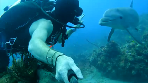 VIDEO Susret kakav se ne zaboravlja