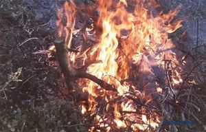 Zadarska policija upozorava: Oprezno prilikom spaljivanja biljnog otpada i suhe trave!