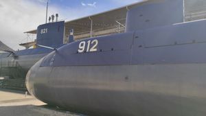 Istarski pomorac 20 godina proveo ispod valova i isto toliko na površini