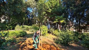U obnovu opatijskih zelenih površina ove godine će se uložiti 198 tisuća eura