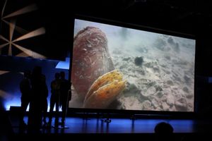 Šibenski učenici predstavili pobjednički projekt 'Povratak plemenite periske' UNICEF-ove radionice