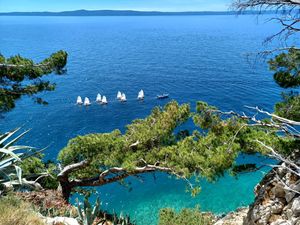 Kvalifikacijska regata 'Kup Makarske' 2023 za klasu Optimist - zona jug