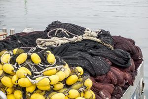 Objavljen natječaj za potpore ribarima, kao kompenzacija za izgubljeni prihod zbog rata u Ukrajini