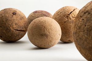 BOĆANJE Tradicija, druženje i fizička aktivnost u jednom