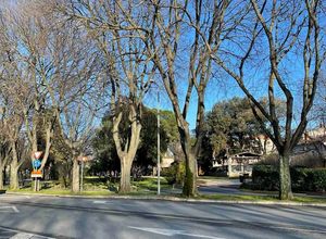 Otvorenje Parka Anne Frank u Puli