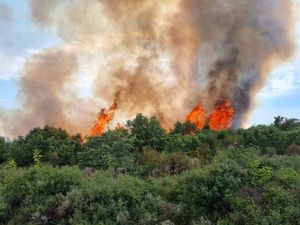 Dva spaljivanja biljnog otpada na šibenskom području izmakla kontroli