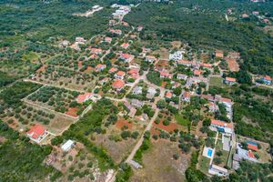 Kinološka trenerica iz Praga sreću je pronašla na Ugljanu