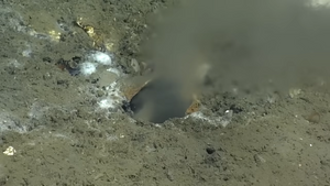 VIDEO Znanstvenici zaprepašteni - Otkrili ogromnu rupu na dnu oceana!