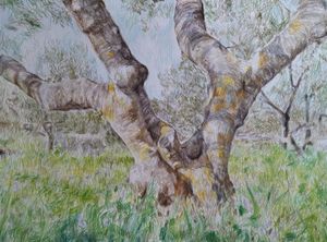 U Creskom muzeju otvara se izložba 'Otok' autorice Nevene Petre Piližote