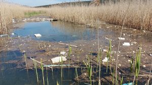 U Posebnom ornitološkom rezervatu PP Vransko jezero održana velika akcija čišćenja