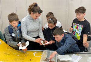 U Puli održana manifestacija 'Mi smo prijatelji mora - We are friends od the sea'