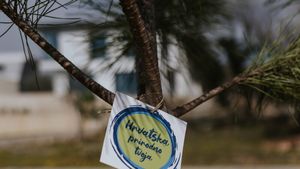 Sadnjom pinija Kostrena se uključila u projekt HTZ-a "Hrvatska prirodno tvoja"