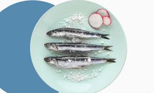 Radionica soljenja ribe - Ovako se to radilo nekad!