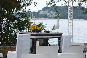 U Poreču se nastavlja uspješna kontrola populacije galebova - Građani mogu prijaviti lokacije gniježđenja