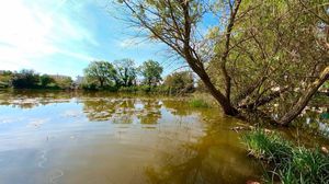 „Svi za lokvu, LOKVA ZA SVE!“ – Prvom zajedničkom akcijom sadnje  uređen okoliš Medulinske lokve!