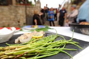 MORSKA ŠPAROGA Delicija kraljevskog Nina