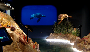 U Šibeniku otvoren centar 'Dodir rijeke i mora'