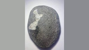 Kamen pronađen tijekom odmora prodaje se za 20.000 dolara