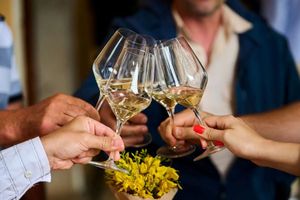 U nedjelju Dan otvorenih vinskih podruma Istre