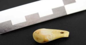 Prema DNK sa zuba jelena starog 20.000 godina identificirana drevna sibirska žena