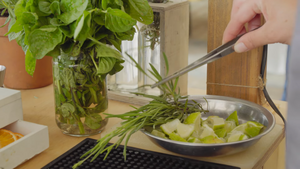 VIDEO Festival samoniklog bilja