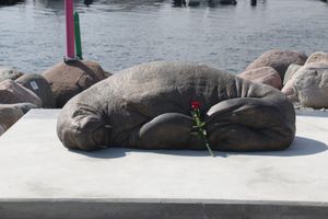 Morž Freya, koji je eutanaziran, dobio je svoju skulpturu