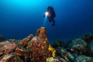 Potreba udruživanja ronilačkih centara u strukovnu udrugu