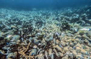FOTO Nepregledna polja plastike kod Molunta - Ronioci će ih ovog vikenda pokušati očistiti... opet...