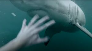 VIDEO Skočio s litice, a u moru ga dočekalo neugodno iznenađenje!