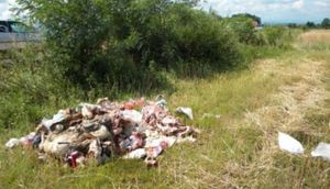 Trojac u zaleđu Zadra uhvaćen u nepropisnom bacanju klaoničkog otpada u prirodu