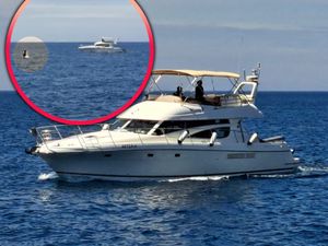 VIDEO Iživljavanje nad dupinima u trogirskom akvatoriju - Za ovo se može i u zatvor!