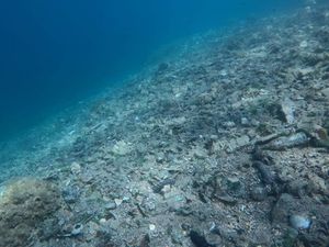 oSVIJESTi se na Pašmanu - Eko akcija čišćenja podmorja uz interaktivne radionice za djecu