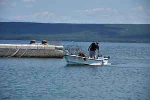 FOTO Održana eko akcija čišćenja podmorja - 'oSVIJESTi se na Pašmanu'