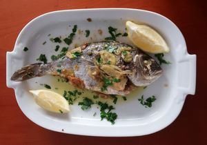 ZEMLJA GURMANIJA Orada u karti