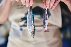 Tradicija i okusi Umaga - Prijavite se na feštu od savora, "S okusom mora – Sapore di mare"