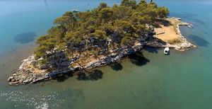 CAJKE NA OTOČIĆU Domovinski pokret iz Kaštela: "Zašto ste dopustili nastupe Karleuše i Ace Lukasa?"