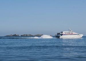 PONIŠTEN NATJEČAJ Ništa od električnih brodova Jadrolinije