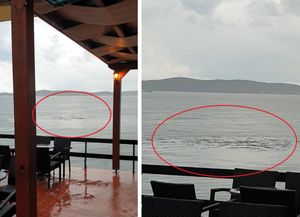 VIDEO Nakon obilne kiše, more ispred poznate zadarske plaže preplavile kanalizacijske vode