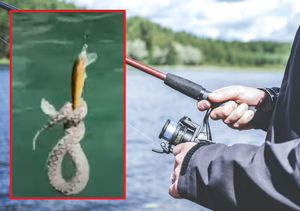 Omišanin išao u ribolov, pa izvukao poskoka!