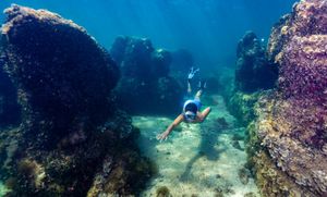 ISTRA SNORKELING Otvara se 17 posebnih lokacija za ronjenje na dah