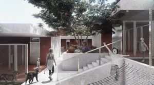 Dubrovnik rješava dugogodišnji problem nezbrinutih životinja